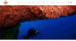 Desktop Screenshot of plongeeporto.com